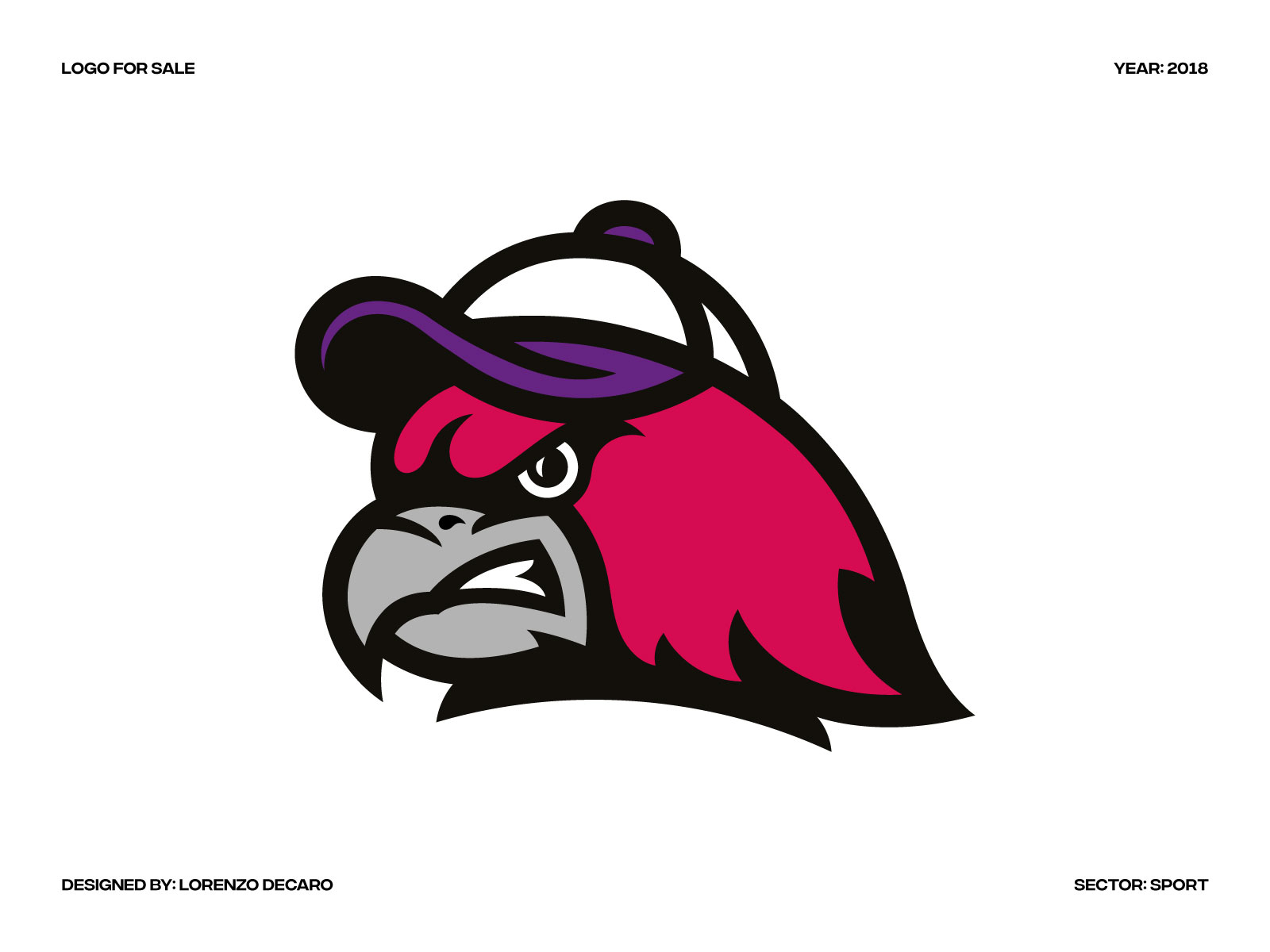 Red Hawks Mascot Logo by Lorenzo Decaro on Dribbble