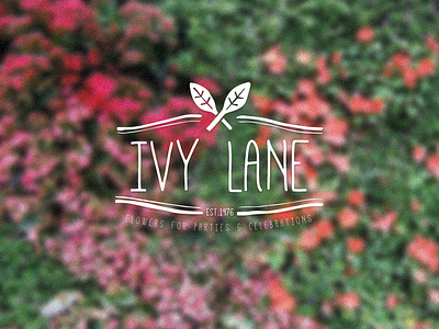 Ivy Lane Branding branding flowers hand drawn logo