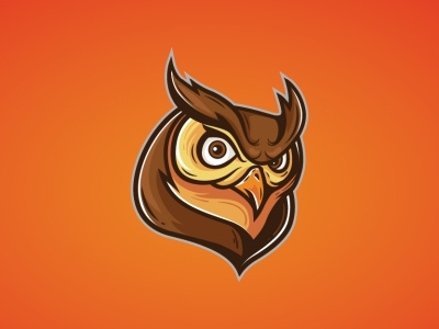 Owl Mascot Logo character design logo mascot owl sport