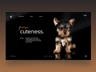 Puppy Web UI Design adobe xd app app design art creative cuteness design designer graphic design illustration inspiration puppy pure ui uiux uiuxdesign uiuxdesigner ux uxdesign weight