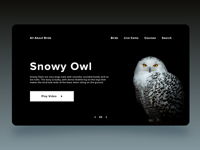 Snowy Owl Web UI Design adobe xd app app design art creative design graphic design illustration inspiration ui uiux uiux designer uiuxdesign uiuxdesigner uxdesign web webdesign webui webuiux webuiuxdesign