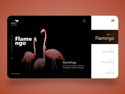 Birds Web UI Design