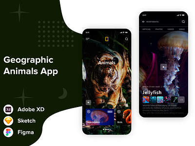 Geographic Animals Mobile UI Design