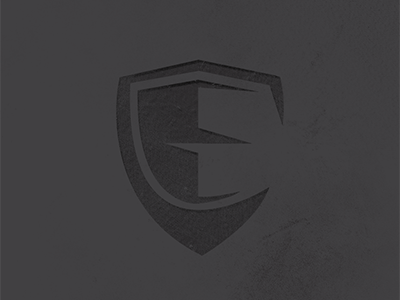 Shield dark icon logo shield texture