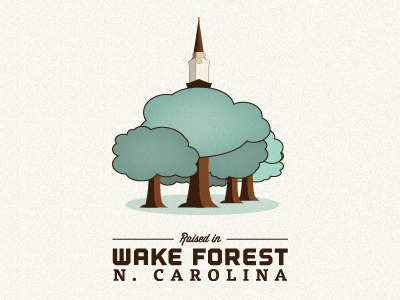 Wake Forest brown green outage steeple texture trees website