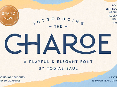 Charoe Typeface & Extras 3d branding design display display font font graphic design illustration logo serif typography ui ux vector