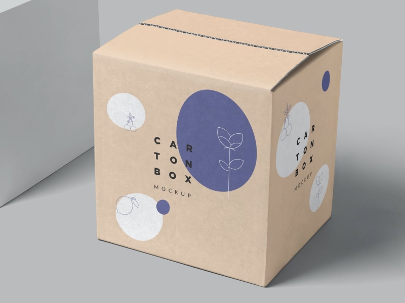 Carton Box Mockups