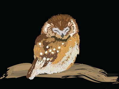 Sleepy Owl animation art custom design cute design illustration illustrator painting
