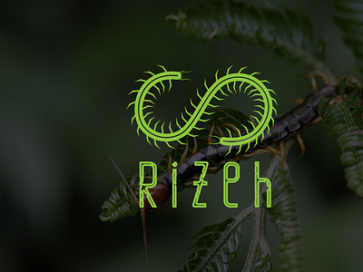 Rizeh brand branding centipede combination logo icon identity infinity logo logo design logodesigner mark minimalist monogram s vector