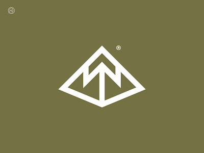 mountain top brand branding edge geometic icon identity letter mark logo logo design mark monogram mountain mountain logo peak summit symbol top vector
