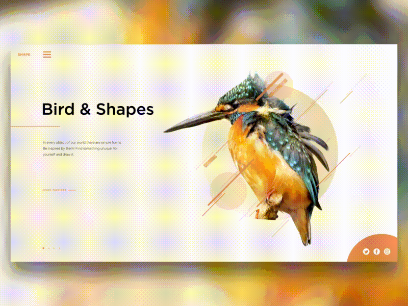 Bird & Shapes bird main ui ux web