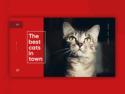 First Screen Cat | Shot design flat illustration inspiration interface landing ui web web design