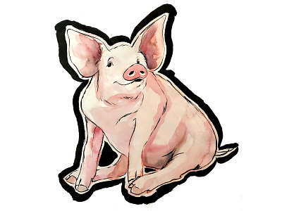 Watercolor Pig illustration watercolor