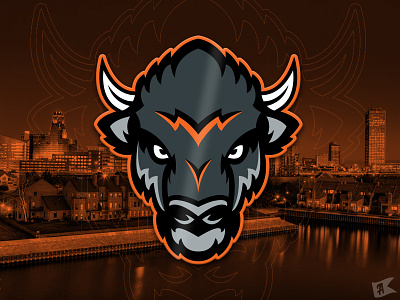 Buffalo Stampede Brand Identity