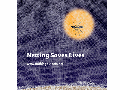 Netting design illustration