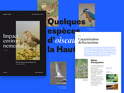 Environmental impact birds environment layout print type