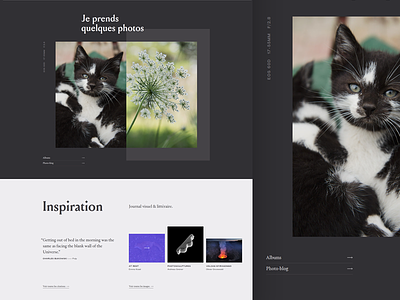 Slowly but surely cat inspiration layout site web webdesign website