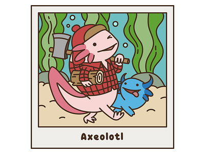 Axolotl Axeolotl