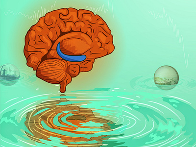 Ripples of the brain