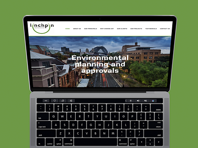 Linchpin Environmental Website color design minimal squarespace web web design website websites