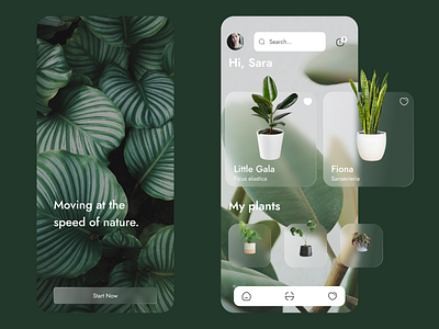 PlantCare app UI concept app care design glass glassmorphism glossy green minimal nature plant transparent ui ux