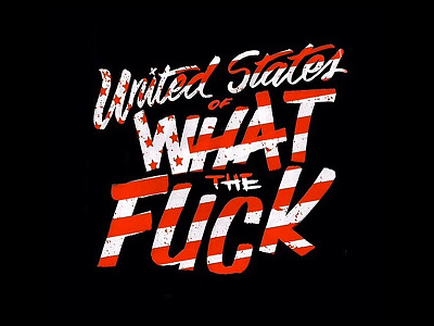 United State of What the Fuck america design illustration lettering usa