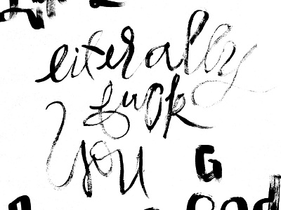 Literally fuck you brush brush lettering gritty illustration lettering messy paint poster type typography