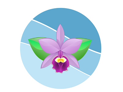 Orquídeas