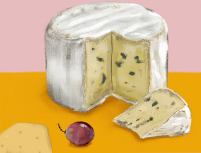 Cheese & Crackers book illustration cheese cheese and crackers digitalpainting editorial illustration food illustration gourmet grape illustration spot illustration