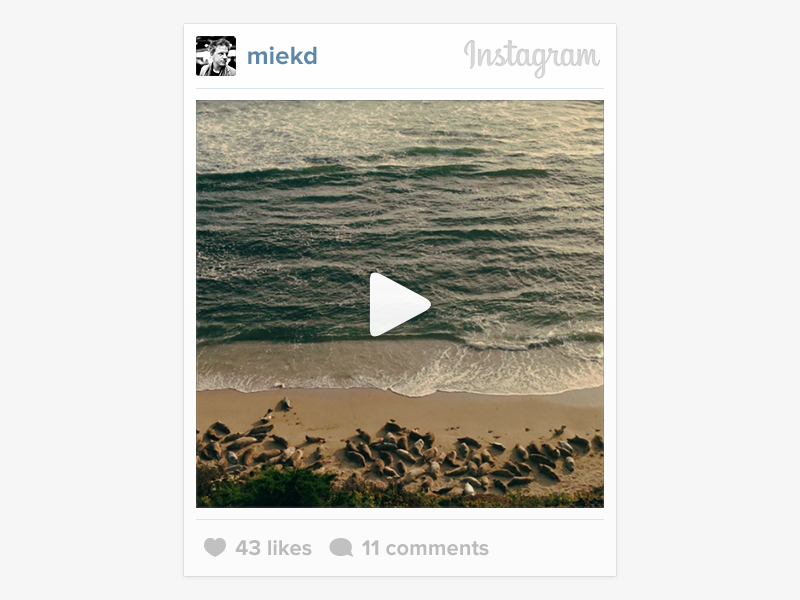 Dribbble instagram web embeds