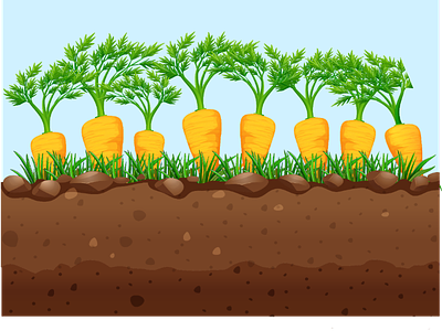 Carrots background food ground ilustration soil tree vegetable