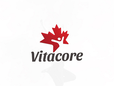 Vitacore 2d brand branding branding concept clean design firstshot fit freedom health leaf logo maple mapple mappleleaf modern simple