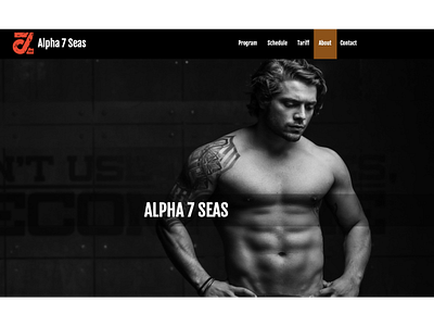 Web Design - Alpha7Seas branding web website website design