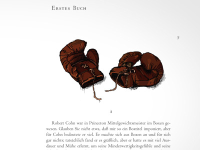 First Book - Boxing Gloves book illustration hemingway illustration