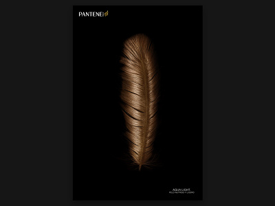 Feather art direction concept photo manipulation