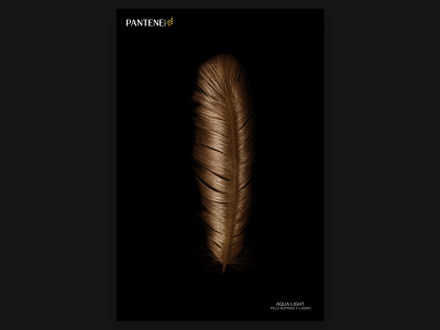 Feather art direction concept photo manipulation