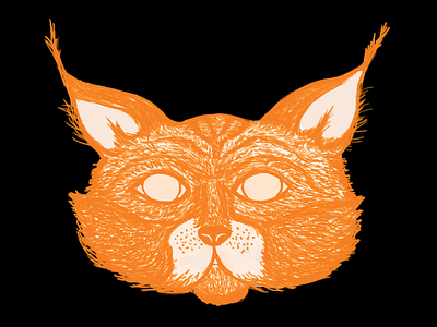 Felidae animal cat felidae hand drawn illustration orange