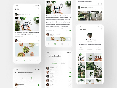 Plantstagram - Social network (IOS-mobile app) clean design clean ui flower flowers grey icon design instagram instagram post instagram template minimalism mobile app plant plants social social media design social network uidesign uiux uxdesign uxui