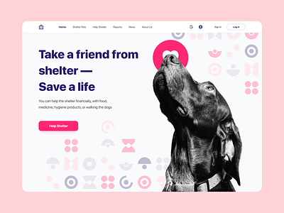 Shelter Pets animal art art direction cat design dog dribbble illustration pet shelter shelter pets ui uiux vector