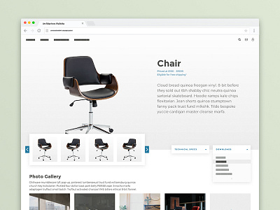 Furniture Website Proposal chair corporate derek mohr furniture modern ui ui design ux web design web development website