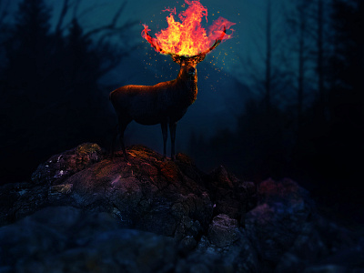 fire adobe adobe photoshop design illustration manipulation photomontage photoshop poster