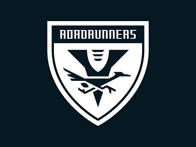 AFFL - Roadrunners affl bird flag football football logo michael vick nfl roadrunner roadrunners sports