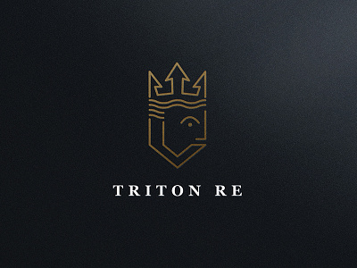 Triton Re branding logo triton