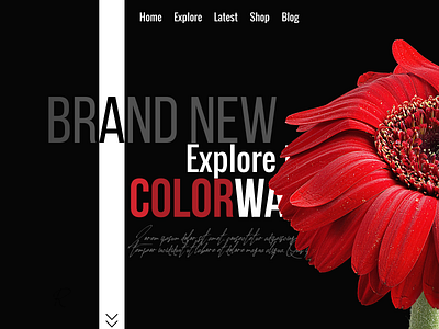 Website 43 branding design illustration ui ux web webdesign website website design