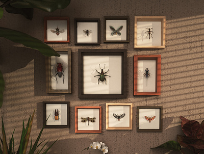 Insects 3d 3d artist 3d render adobe adobe dimension bugs contest design illustration insects visual art visual design visual designer visual storytelling
