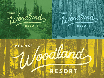 Woodland Resort Logo cabin distressed handlettered handlettering hiking logo type typography vector vintage woods