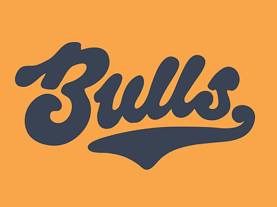 Bulls bulls durham handlettered nc