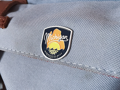 Michigan Pins!