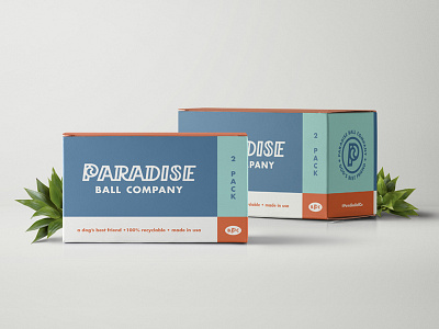 Paradise Ball Co. branding dog dogs handlettering logomark logotype packaging