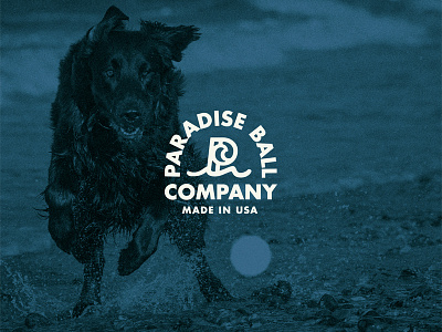 Paradise Ball Co. dog dog toy dogs logo logomark monogram